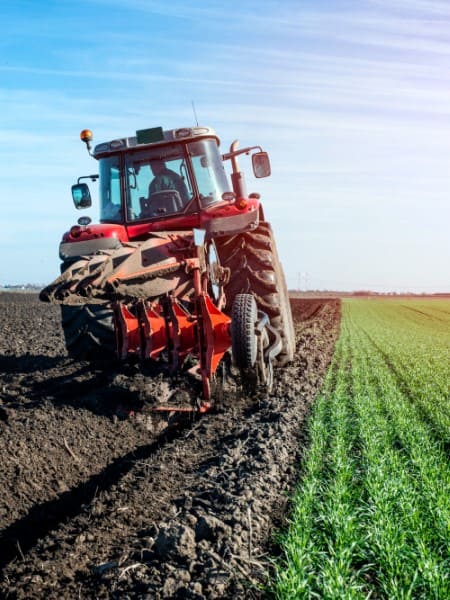 Agriculture